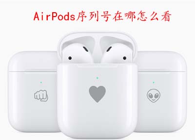 AirPods序列号在哪怎么看