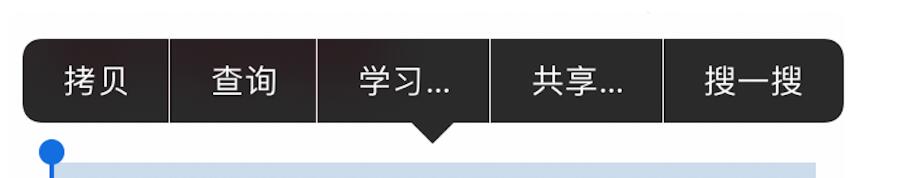iPhone 选择文本时出现的“学习”选项有什么用？