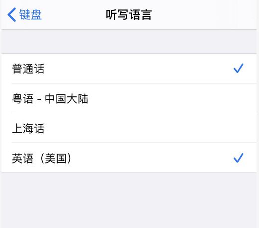 iPhone 11 如何打开语音输入功能？