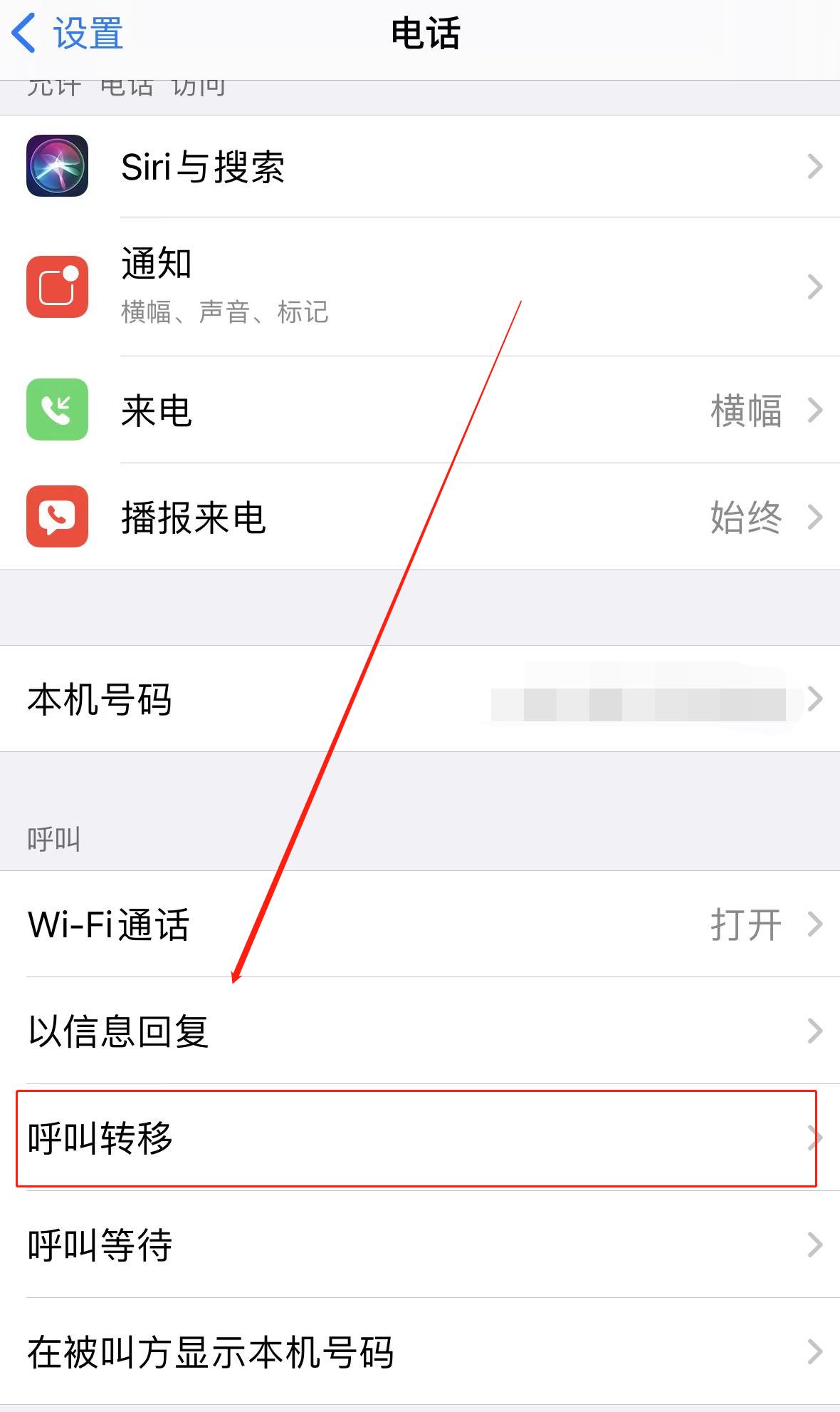 苹果手机怎么设置呼叫转移(2)