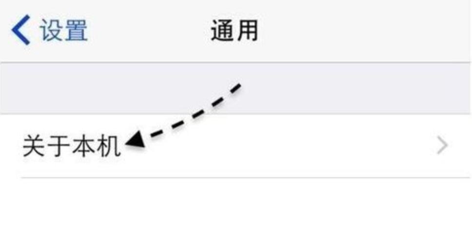 苹果11怎么查生产日期(2)