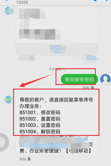 怎么查手机服务密码