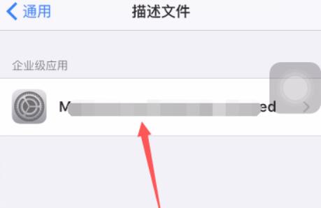 ios证书信任不见了(2)