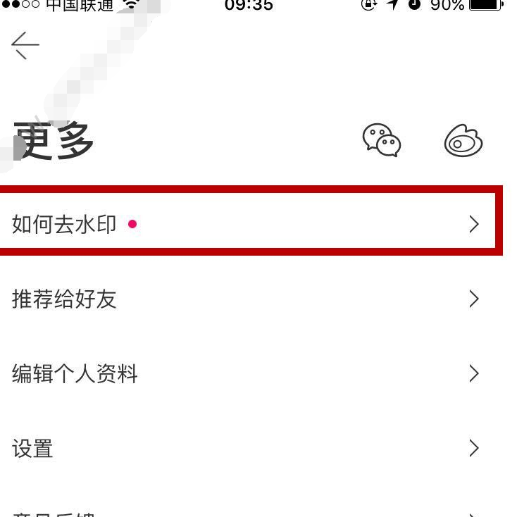 Versa去水印的简单操作截图