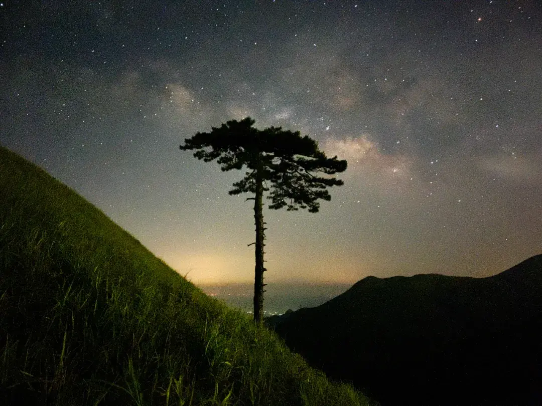 苹果超广角镜头怎么开