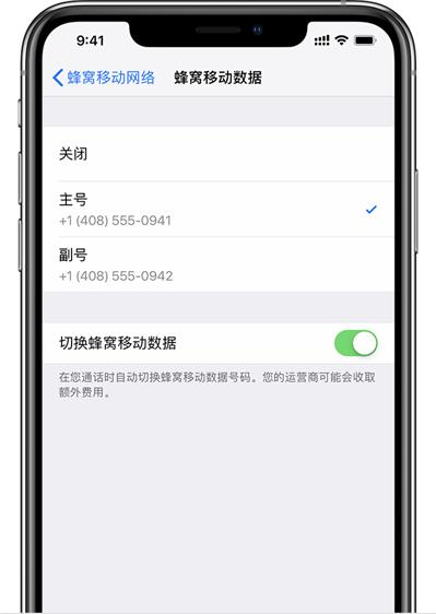 为什么 iPhone XS Max 插入两张电信卡后，副卡会显示无服务？