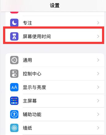 iPhone访问限制在哪