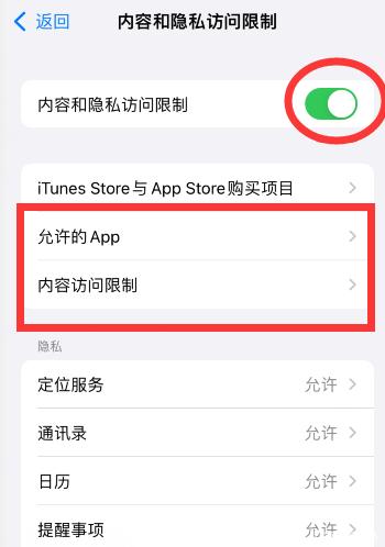 iPhone访问限制在哪(2)