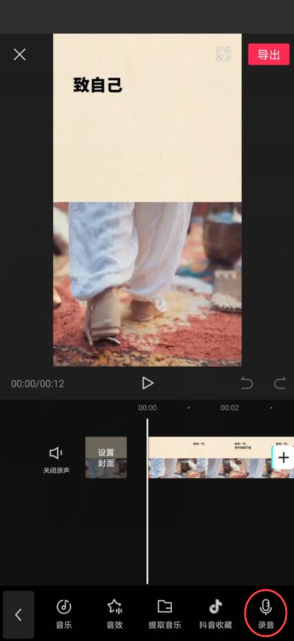 剪映怎么加自己的录音(3)