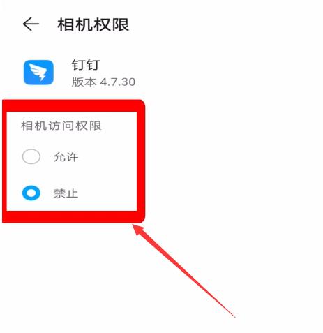 钉钉相机权限在哪里(4)