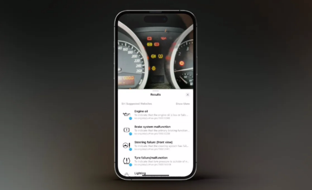 iOS 17 看图查询功能支持识别汽车仪表盘警报